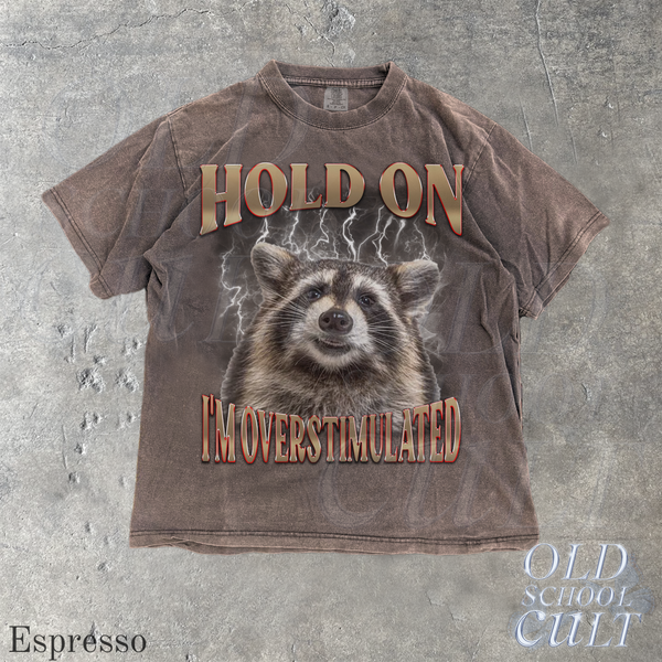 Hold On I Am Overstimulated Vintage 90s Style Funny Raccoon Graphic T-Shirt