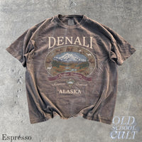 Denali Alaska Vintage 90s Graphic T-Shirt, Retro National Park Mountain Adventure Shirt