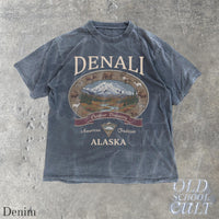 Denali Alaska Vintage 90s Graphic T-Shirt, Retro National Park Mountain Adventure Shirt