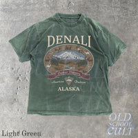 Denali Alaska Vintage 90s Graphic T-Shirt, Retro National Park Mountain Adventure Shirt