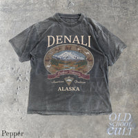 Denali Alaska Vintage 90s Graphic T-Shirt, Retro National Park Mountain Adventure Shirt