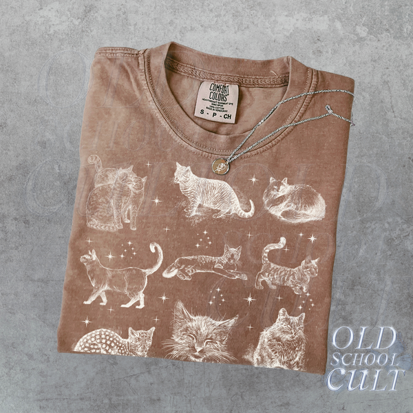 Cats 90s Vintage Style Tshirt, Retro Comfort Colors® Y2k Kitten Shirt, Cat Lovers Gift, Cute Cat Shirts, Nature Unisex Adult Cotton Shirt