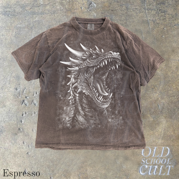 Dragon Fantasy Vintage Graphic Shirt, Retro Dragon Shirt, Gothic Y2k Shirt, Hand Drawn Design, Dark Art Grunge Castle Dragon Gothic Shirt