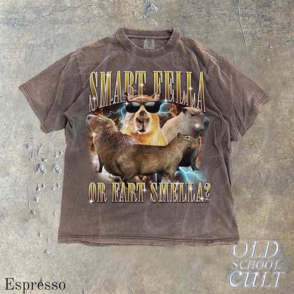 Smart Fella Or Fart Smella Vintage 90s Style Shirt, Retro Comfort Colors®  Capybara T Shirt, Weird T Shirt, Meme Shirt, Crazy Shirt, Party Weirdcore Joke Tee