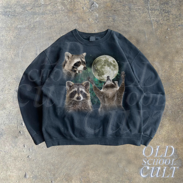 Three Raccoons Vintage Sweatshirt, Retro Raccoon Sweater, Cute Trash Panda Sweater, Funny Gifts, Cozy Warm Unisex Sweatshirt, Retro Lovers