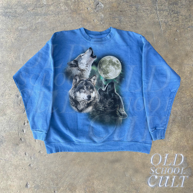 files/sweatercarolinablue_64fb7dea-b0e3-4754-a75e-18ceee787e30.png