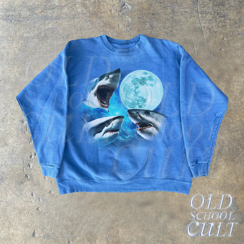 files/sweatercarolinablue_680a838b-b5a8-4dd8-b005-cff3dfdafe2d.png