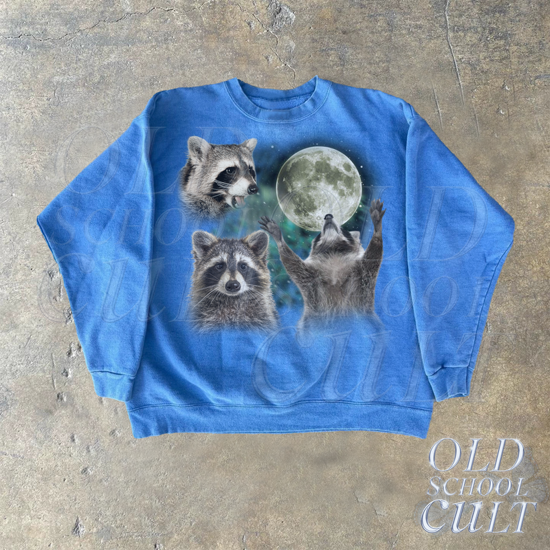 files/sweatercarolinablue_ef12bc0e-b165-4808-b2ba-ab4d5e73aed7.png