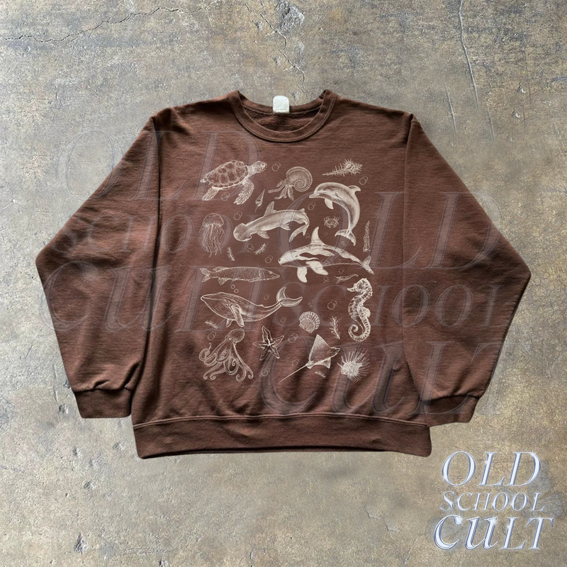 files/sweaterdarkchocolate.png